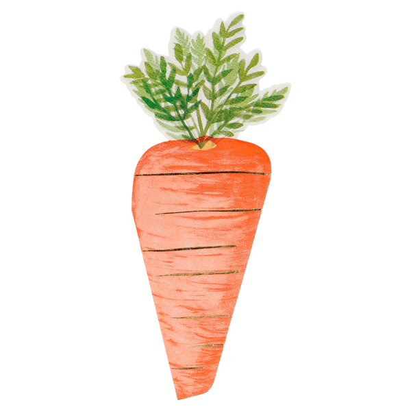 C---meri meri---219205CARROT.JPG