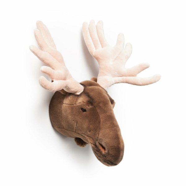 C---wild () soft---WS0003MOOSE_1_P.JPG