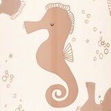 Seahorse